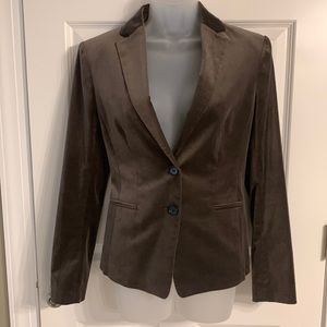 Ann Taylor velour blazer size 8 gray